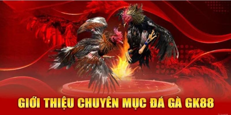 Đá gà trực tuyến