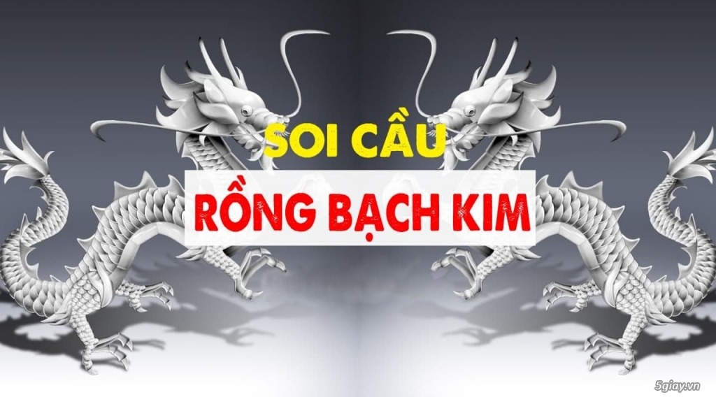 soi-cau-bac-nho-rong-bach-kim