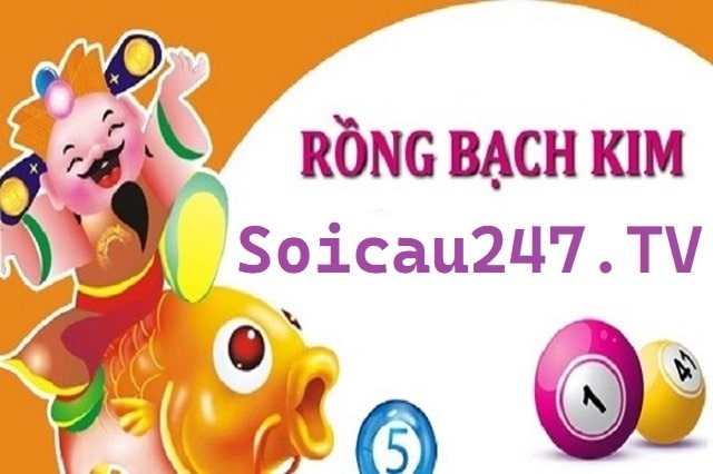 soi-cau-rong-bach-kim-247