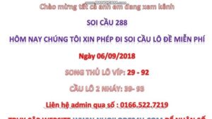 soi-cau-rong-bach-kim-288