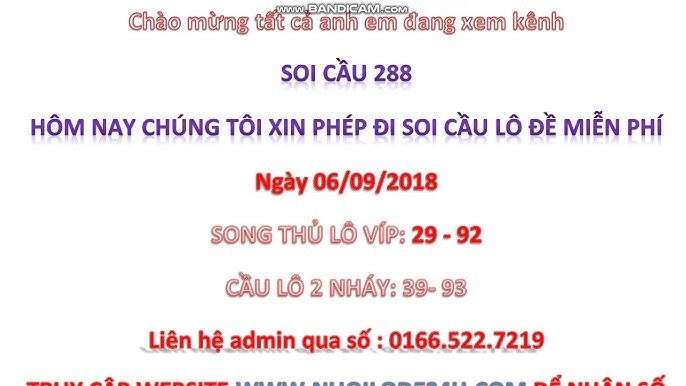 soi-cau-rong-bach-kim-288