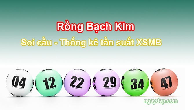 soi-cau-rong-bach-kim-mien-trung