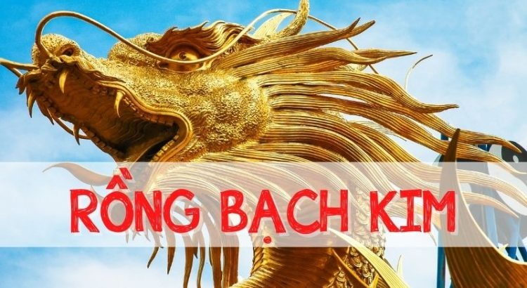 soi-cau-chinh-xac-100-rong-bach-kim