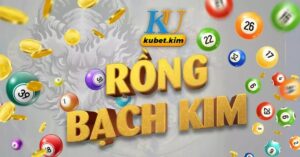 soi-cau-rong-bach-kim-plus